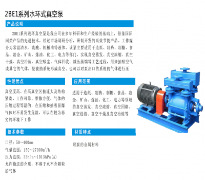 2BE1系列水環式真空泵